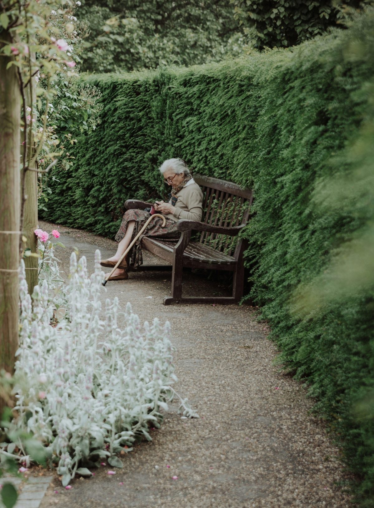 an older woman sits alone on a bench in a park surrounded by greenery and plants and looks down